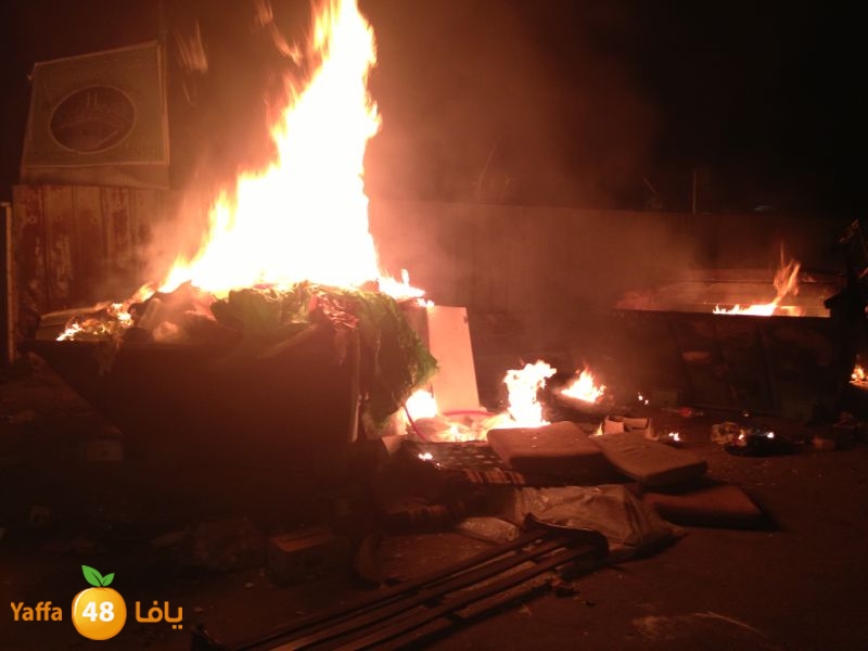 firelud608608 (3).jpg